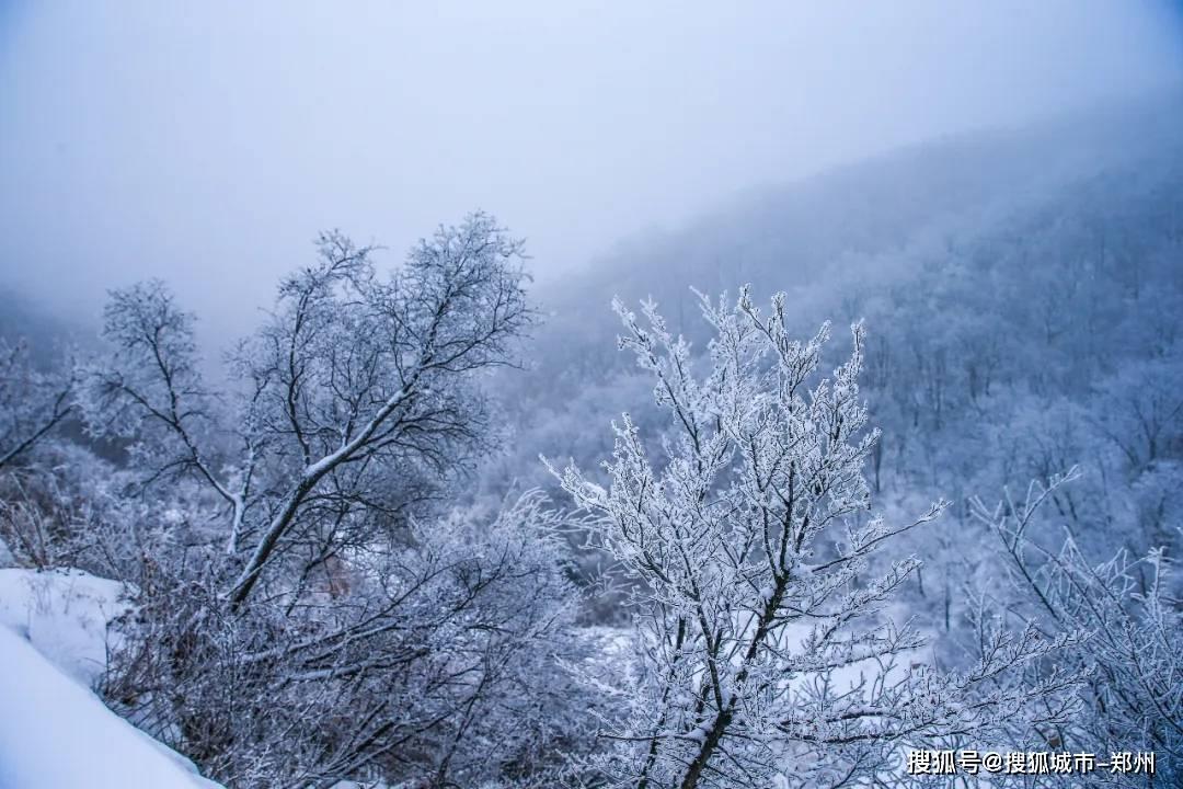 晶体管